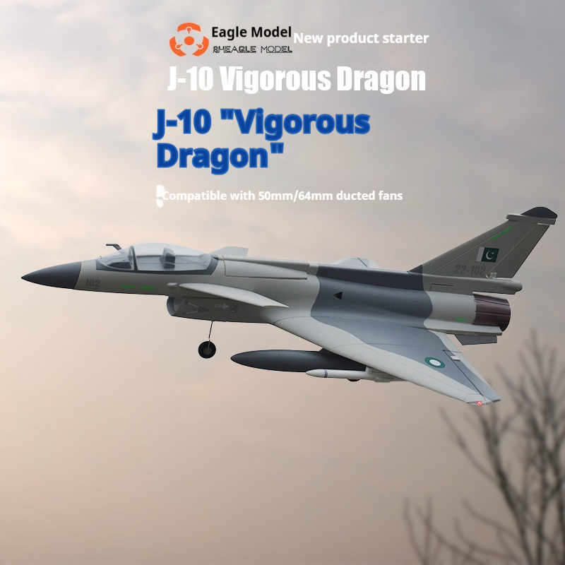 리이글 모델 J 10 비고러스 드래곤 원격 조종 고정익 - Rc Hobby Experts 리뷰 및 가격