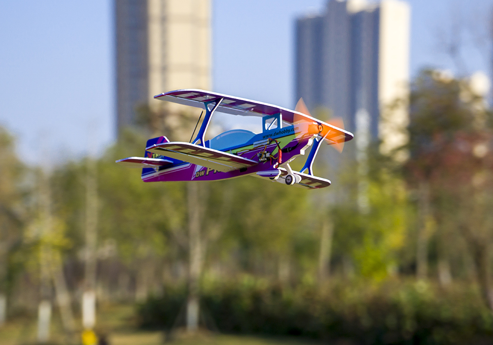DW 하비 450mm PITTS PP RC 비행기 폼  - Rc Hobby Experts 리뷰 및 가격